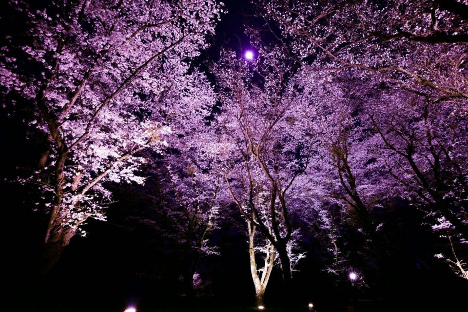 NowLoading...
