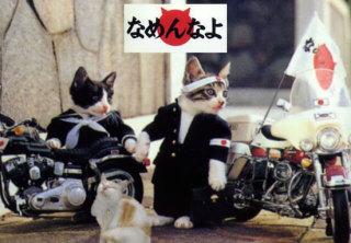 NowLoading...