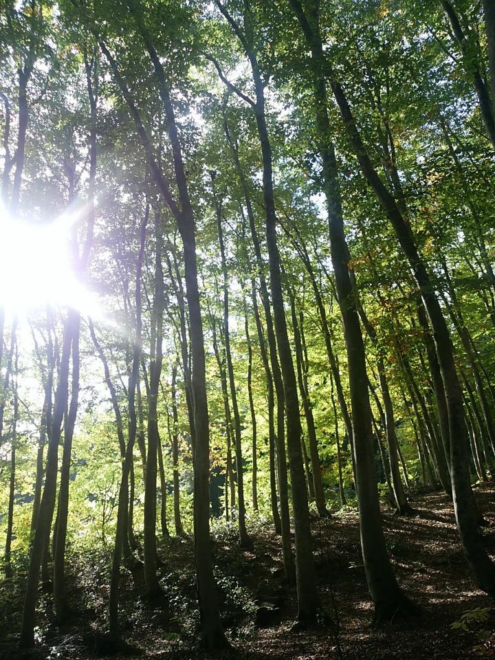 NowLoading...