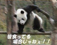 NowLoading...
