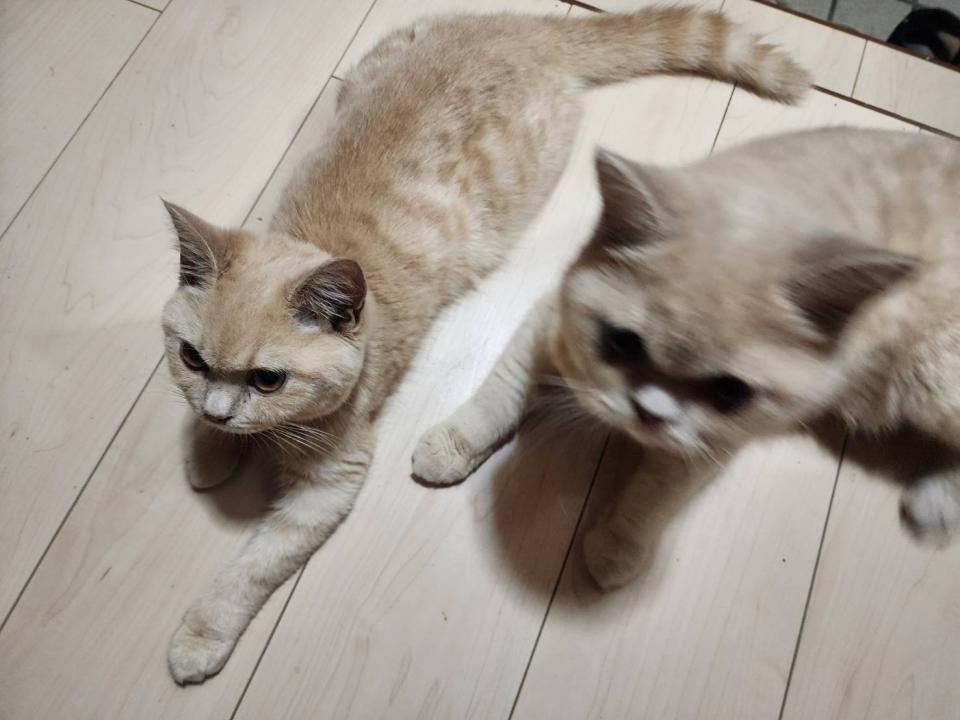NowLoading...