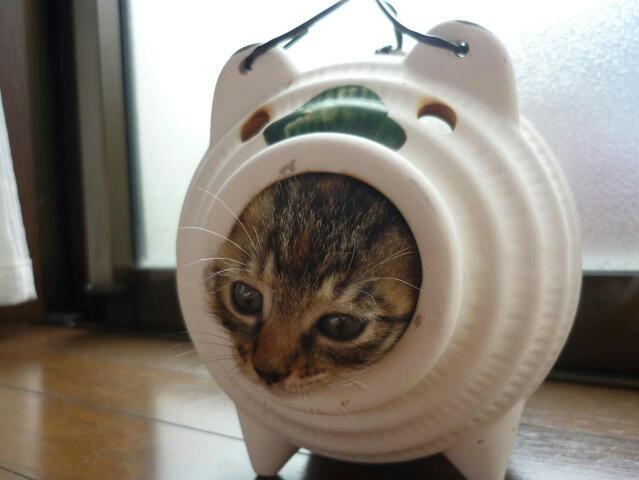 NowLoading...