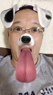 NowLoading...