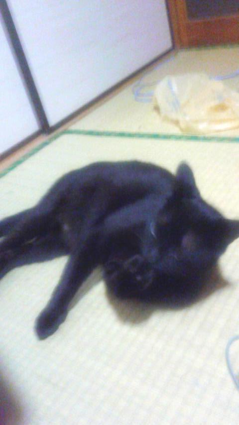 NowLoading...