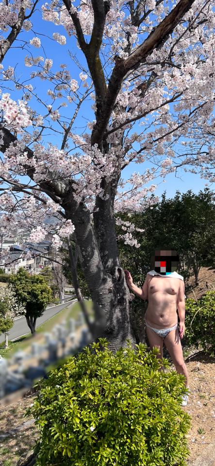 NowLoading...