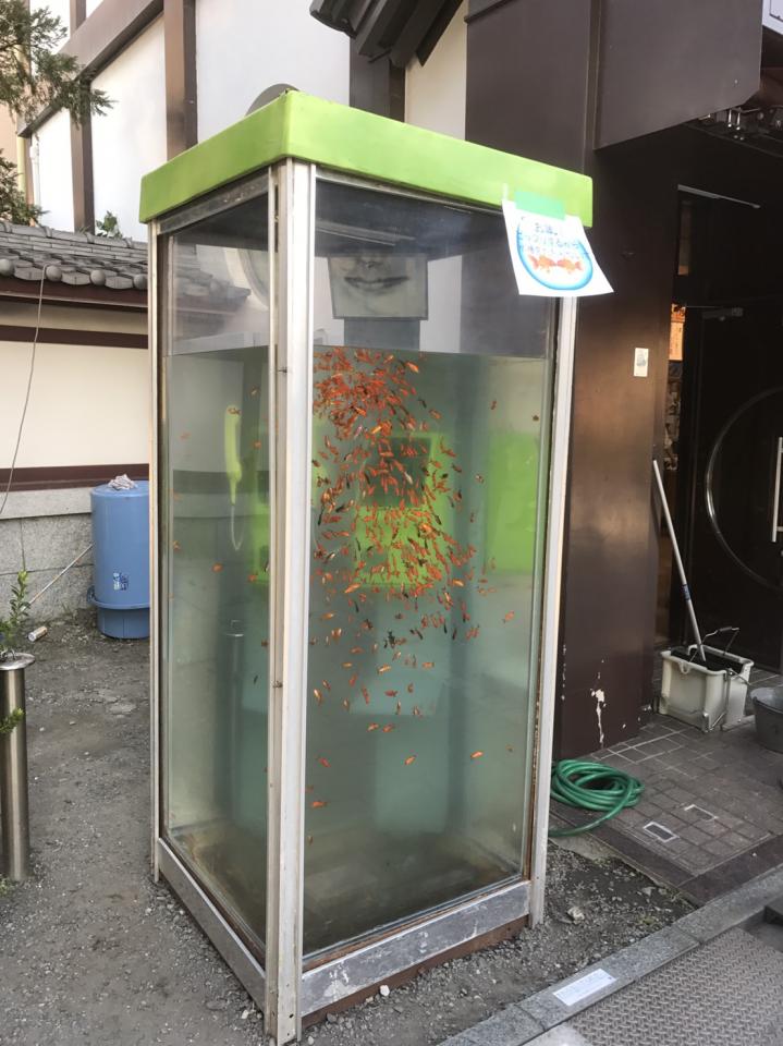 NowLoading...