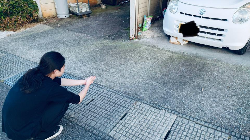 NowLoading...