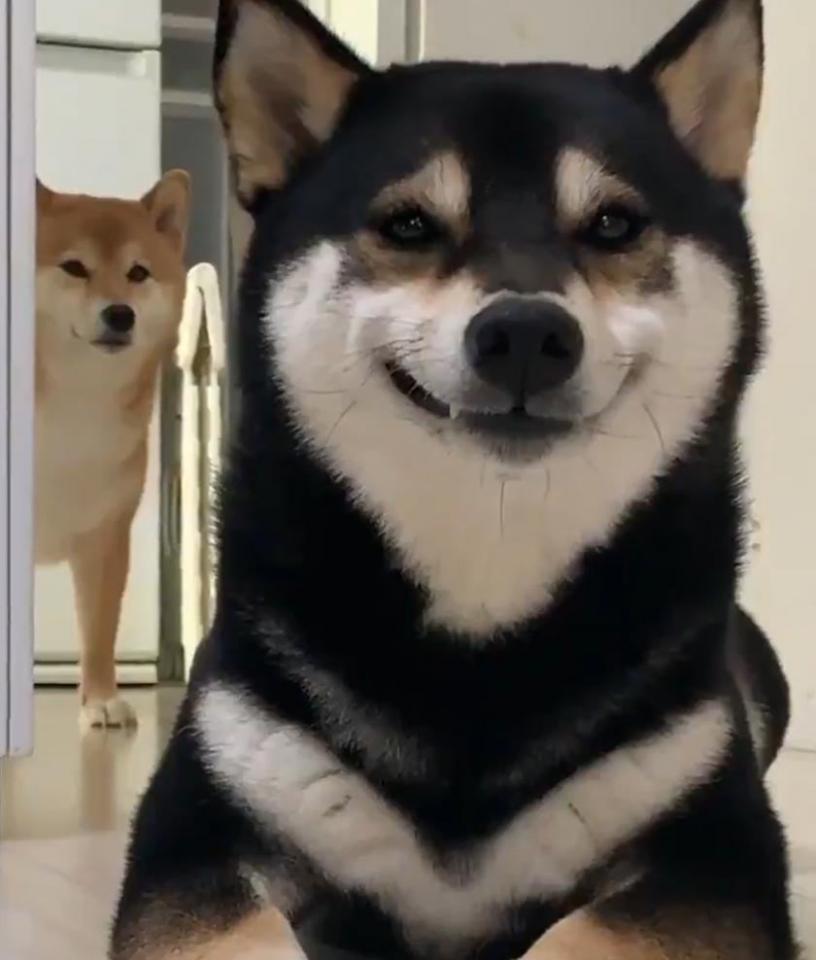 NowLoading...