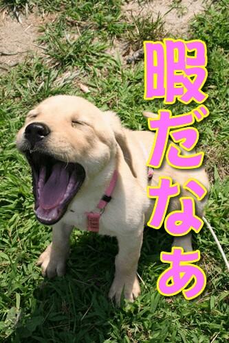 NowLoading...