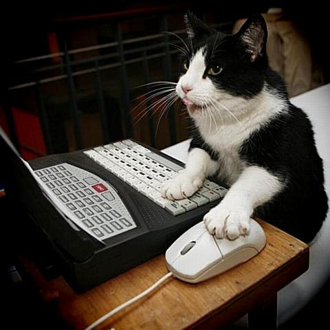 NowLoading...