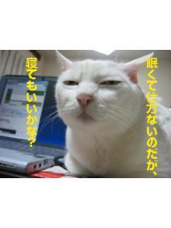 NowLoading...