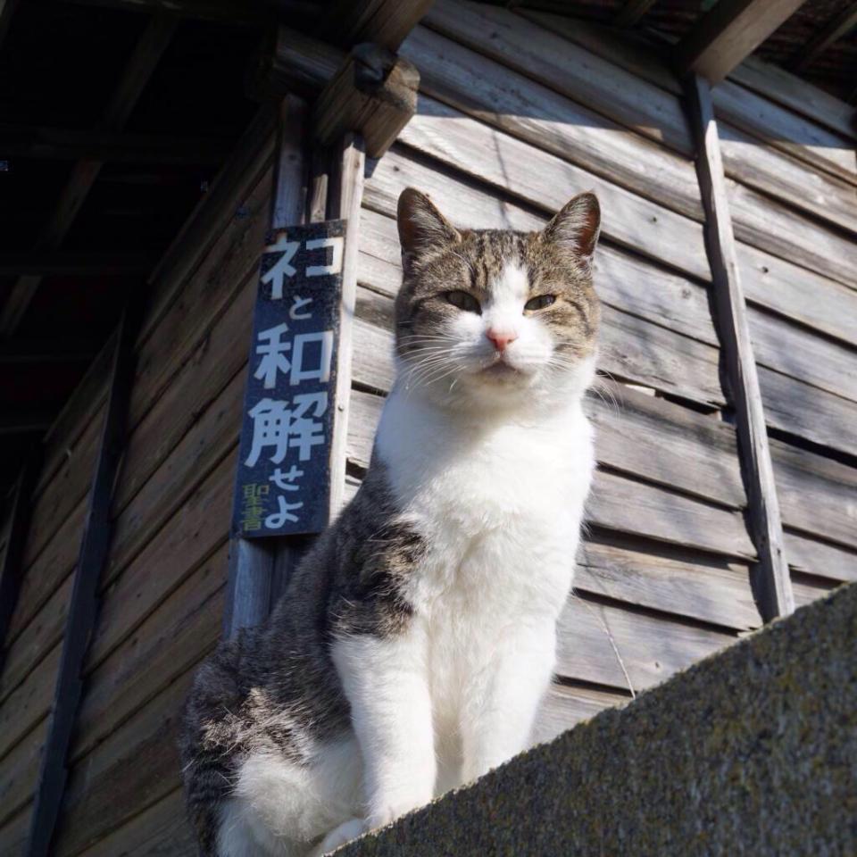 NowLoading...