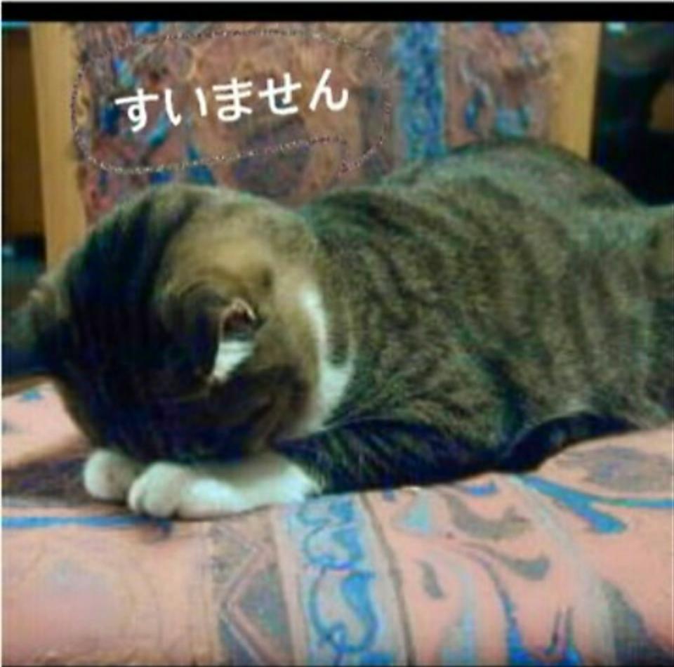 NowLoading...