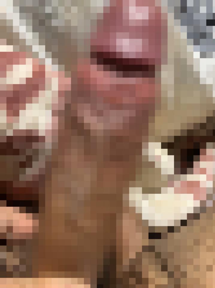 NowLoading...