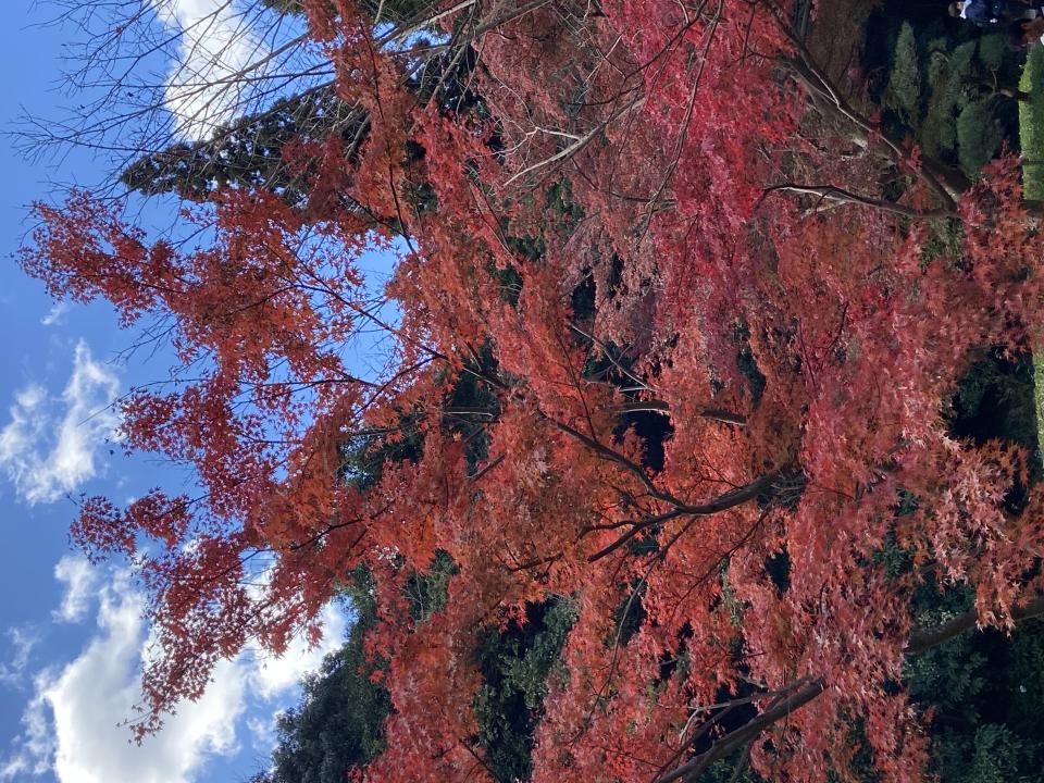 NowLoading...