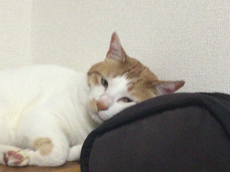 NowLoading...