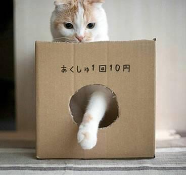 NowLoading...