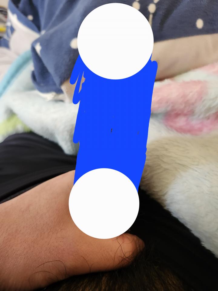 NowLoading...