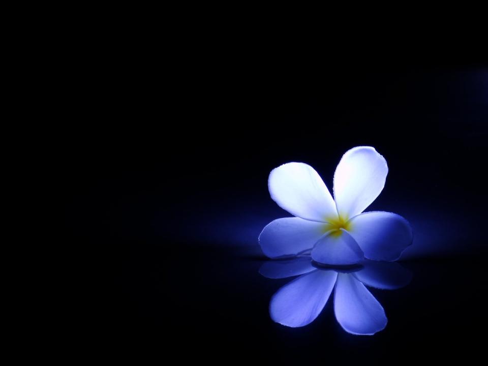 NowLoading...