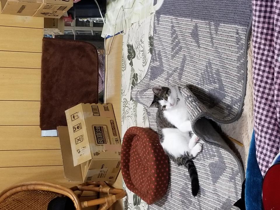 NowLoading...