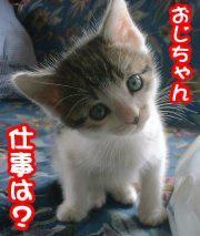 NowLoading...