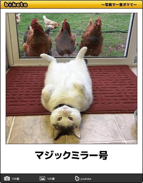 NowLoading...