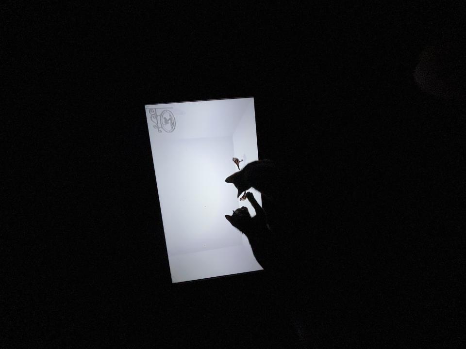 NowLoading...