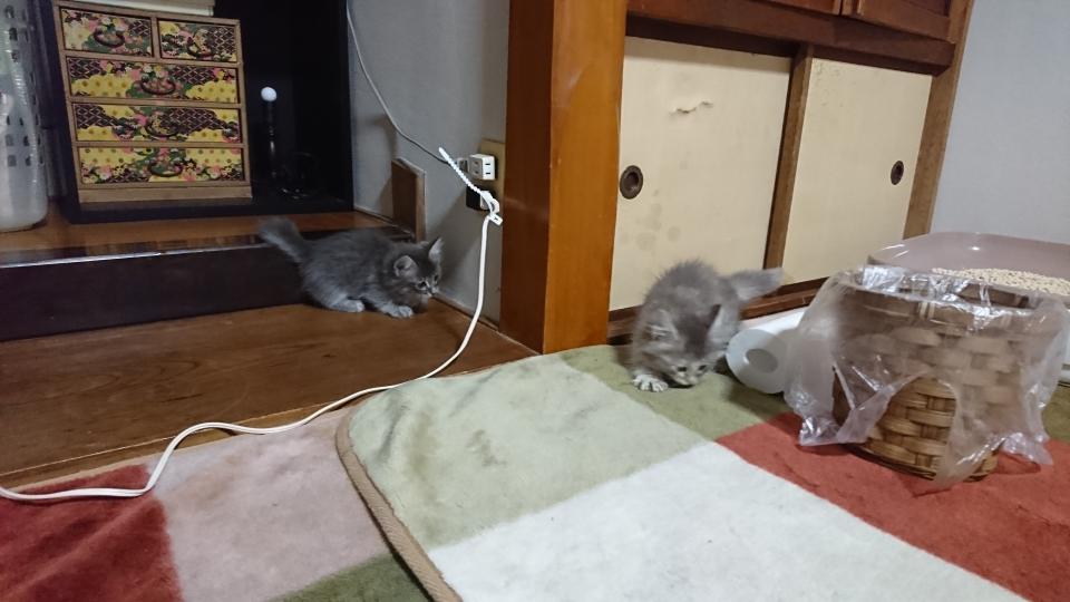 NowLoading...