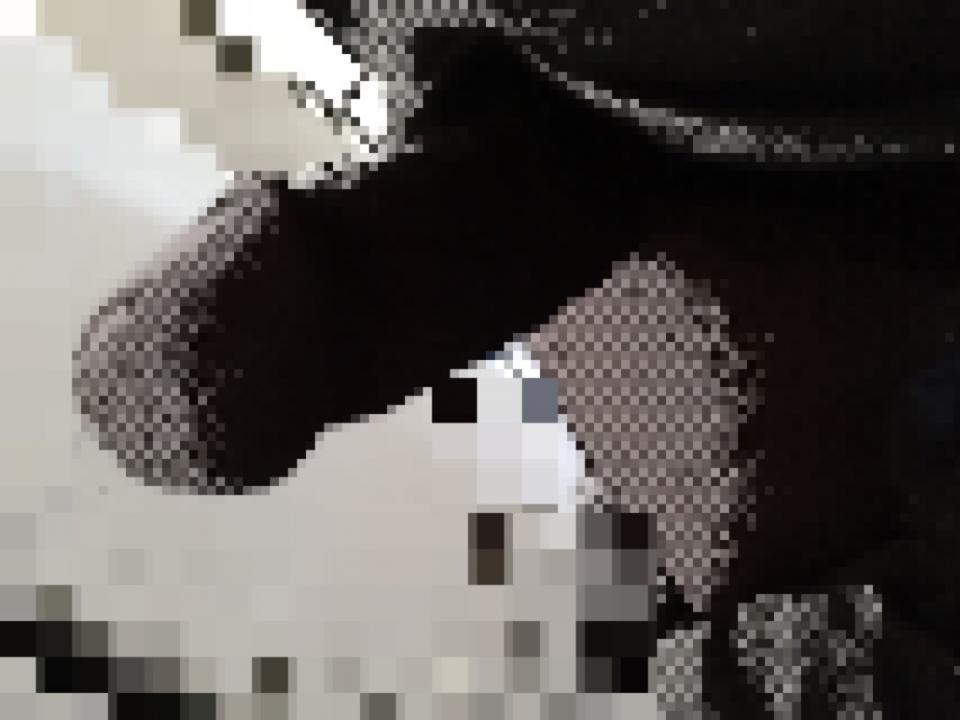 NowLoading...