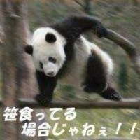profile_image