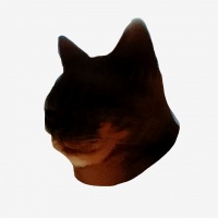 profile_image