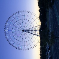 profile_image