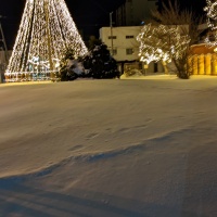 profile_image
