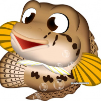 profile_image